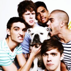 don't follow me back if you want follow @xmcguinesseyes #TWFanmily