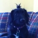 Jada Howard - @JadaHoward14 - Twitter