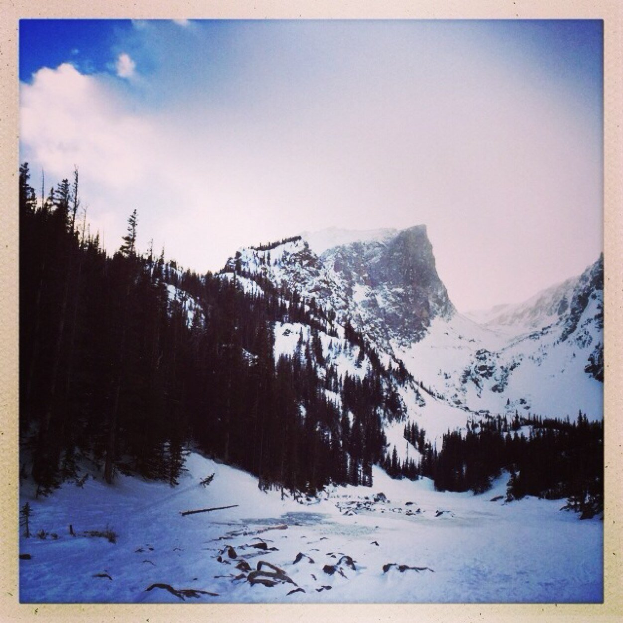 bookshop owner. stationery&coffee. TN boy in the mountains of Colorado