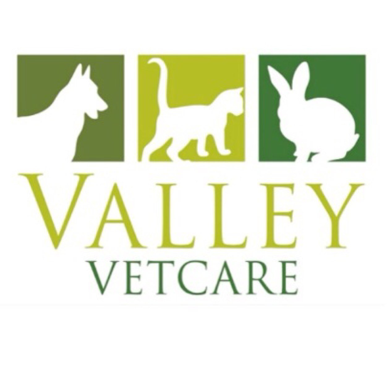 Local vets in Rochdale providing great care to you and your pets. Full range of health care plans and consultation plans, medical and surgical facilities