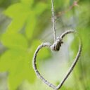 Ana Nájera - @NjeraAna - Twitter