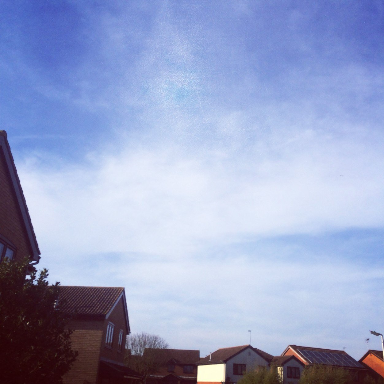 cindarellzzzzzz's profile picture. Get up, grab the wall, wiggle like your trying to make your ass fall off - FAV SONG BESTIESSS love my fans mwah!