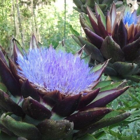 ratchet000's profile picture. 