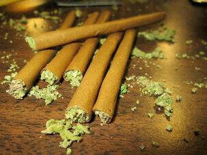 ||♥WEED♥||♥VODKA♥||♥FASHION♥||♥DANCING♥||♥MUSIC♬||