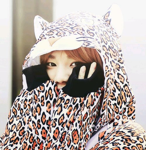 I'm Sungjong 'INFINITE' robot! Real : @infiniteyounges #FBTH [9/2/13]