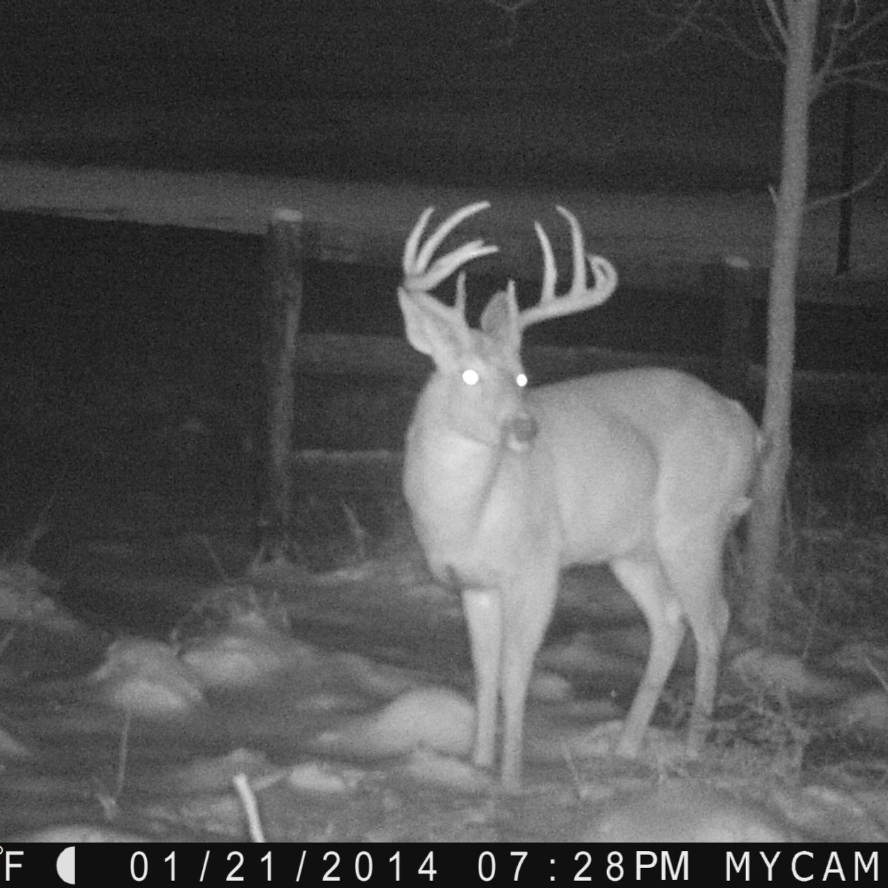 BGBlasters's profile picture. 