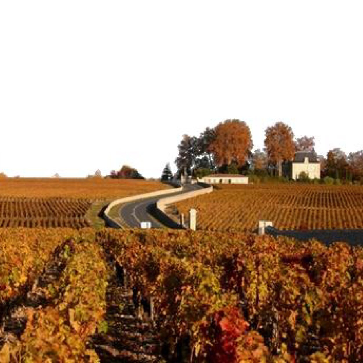 Passionné de vins... Album photo des bouteilles bues au fil des semaines