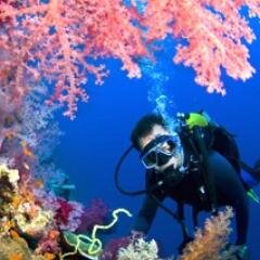 tyoyoi's profile picture. Suka jalan2, gak suka kekerasan rindu kekenyalan..