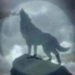 LWPublishing's profile picture. Go Your Own Way