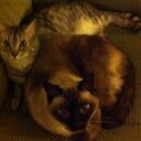 Carol - @CarolEverman - Twitter