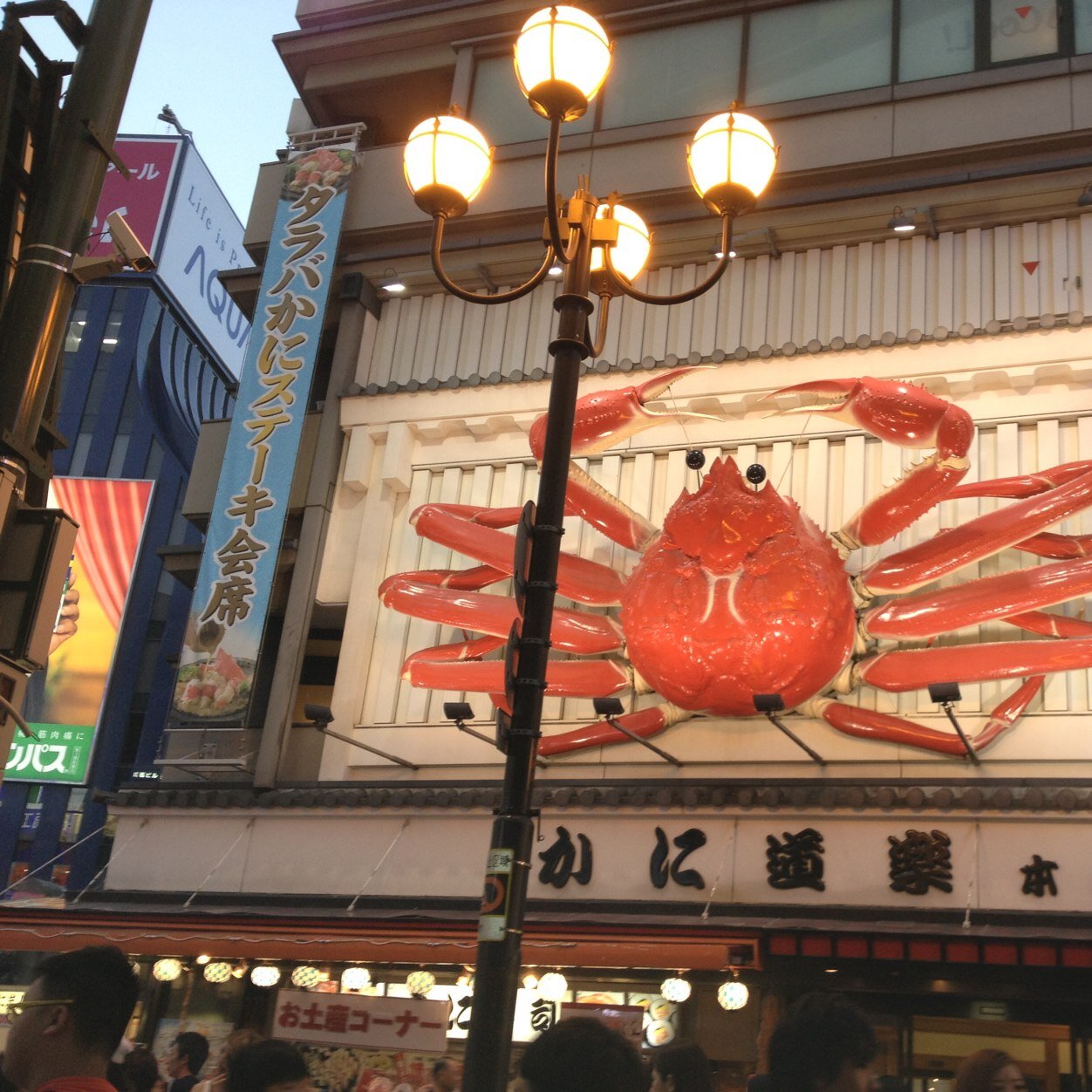 たくさんお友達になって下さい！