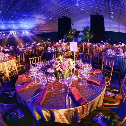 Publicist & Event Planner, NYC's most popular events and how to pull off your own UNFORGETTABLE events!