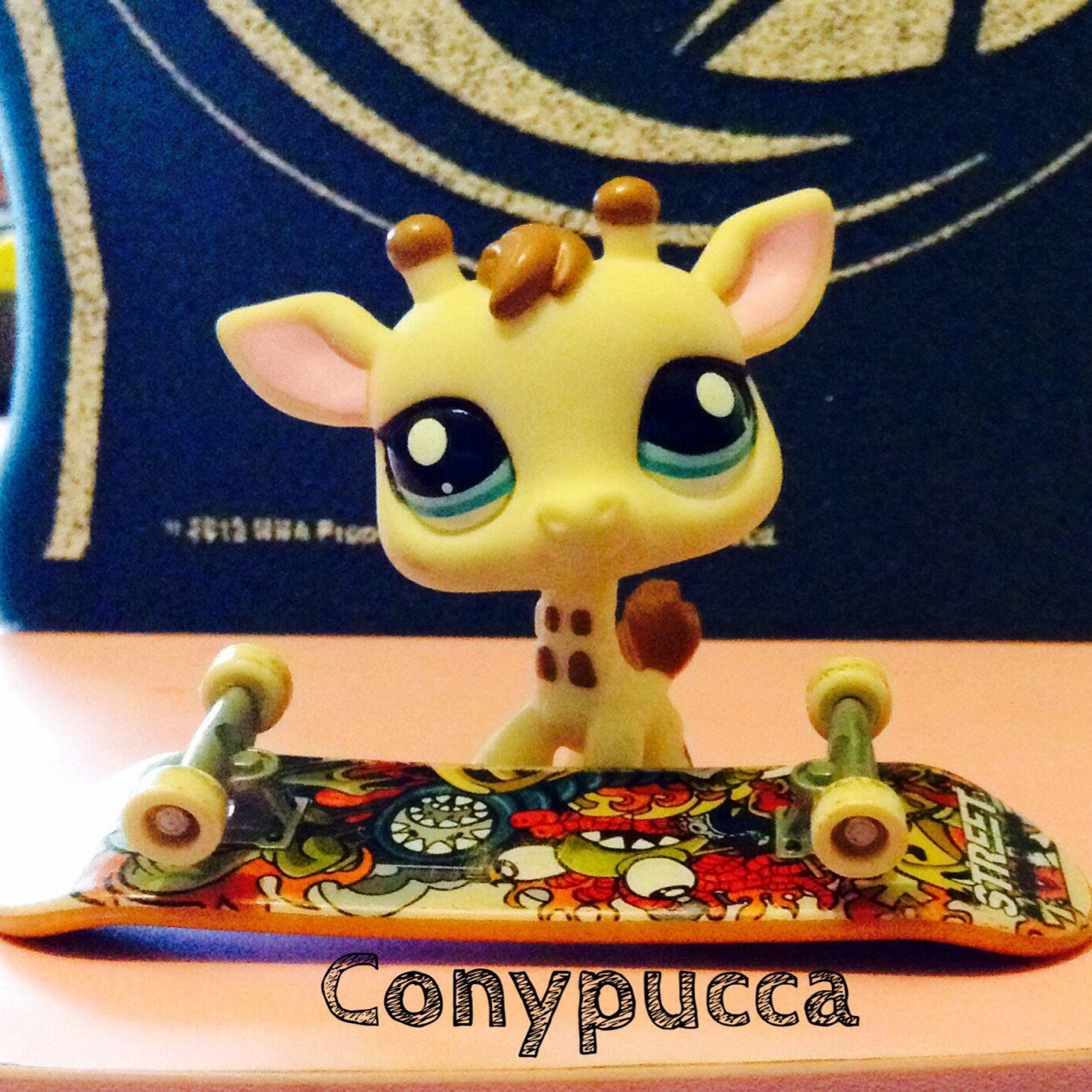 Conypucca † LpsTuber † Chile † English~Español