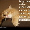 marco letona - @marcoletona2 - Twitter