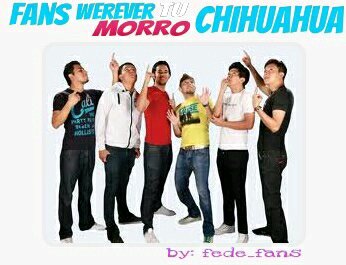 Club OFICIAL de @werevertumorro en chihuahua...en esta página te enterarás de todas las novedades de werevertumorro siguenos!!! // Follow de Gabo: 24/03/13
