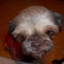 Sandra Morello - @sandramo3 - Twitter