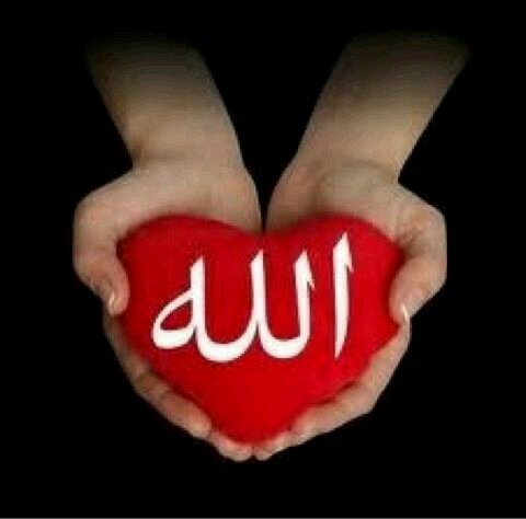 ‏‏“سبحان الله وبحمده سبحان الله العظيم ، لااله إلا الله ، استغفرالله وأتوب اليه ، لاحول ولا قوه إلا بالله ”