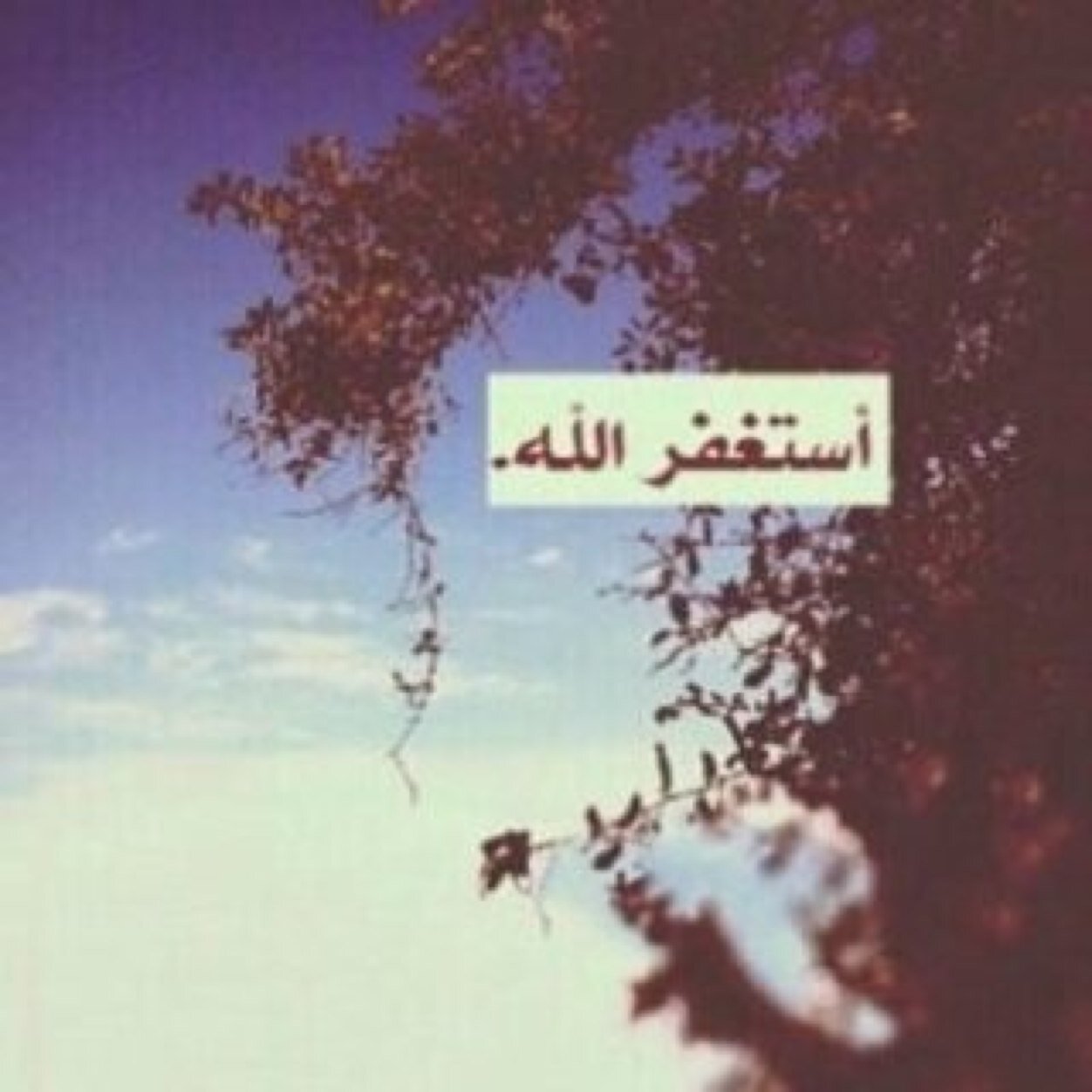 582Fariss Profile Picture