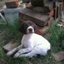 Avril Pinto - @avi_pinto3 - Twitter