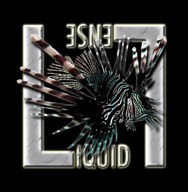 liquidlense's profile picture. Underwater photo & video specialists offering tailor-made, hands-on courses designed for own-paced learning & quick results. Check our digital learning centre