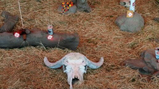 LouissonSexil's profile picture. beats for sale