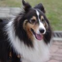  dick lai  - @jetjetgg - Twitter