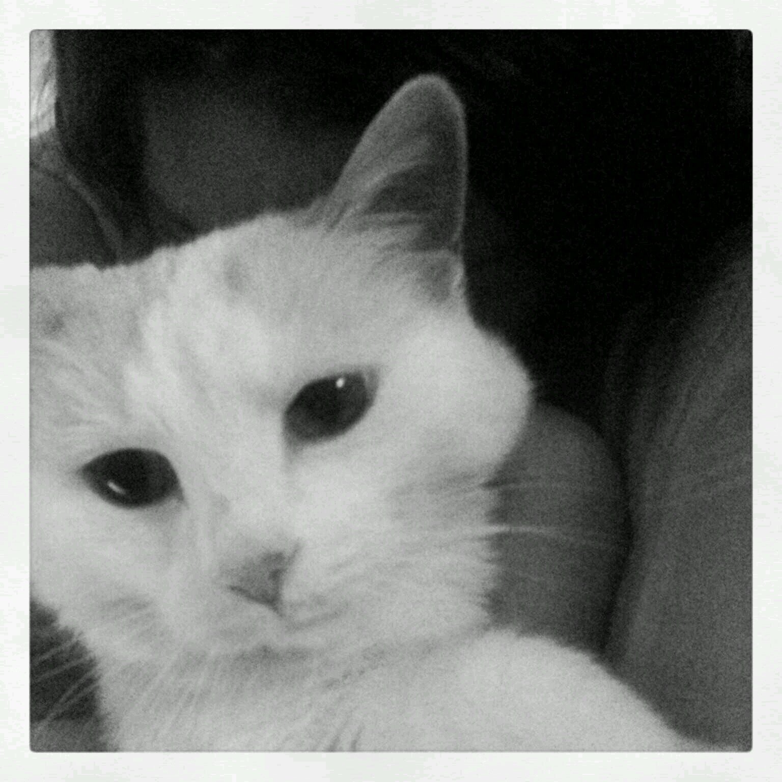 JwyattXo's profile picture. 