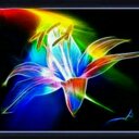 ROBIN Smithson - @RsSmithson - Twitter