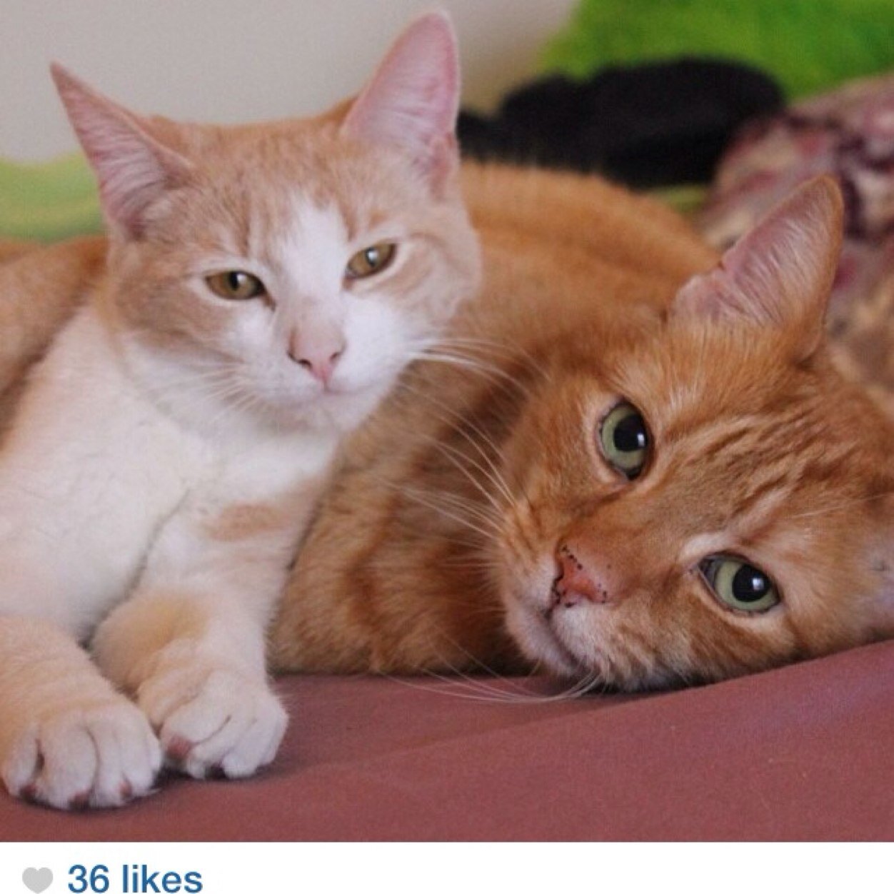 stonky42's profile picture. 