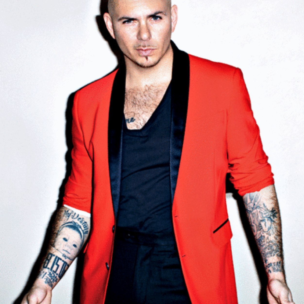 Pitbull Pitbull Kk Twitter