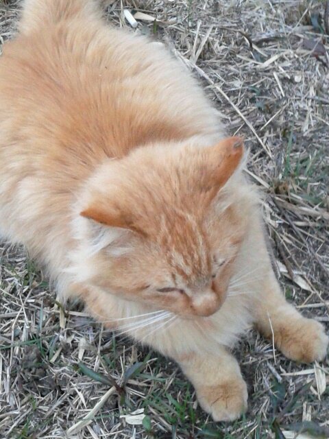 人生やっぱり楽しまないと(^_^)vEnjoy!＼(*⌒0⌒)ｂ♪