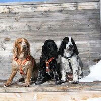 Simon Brown, G4ELI (@g4eli) 's Twitter Profile