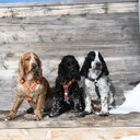 Simon Brown, G4ELI - @G4ELI - Twitter