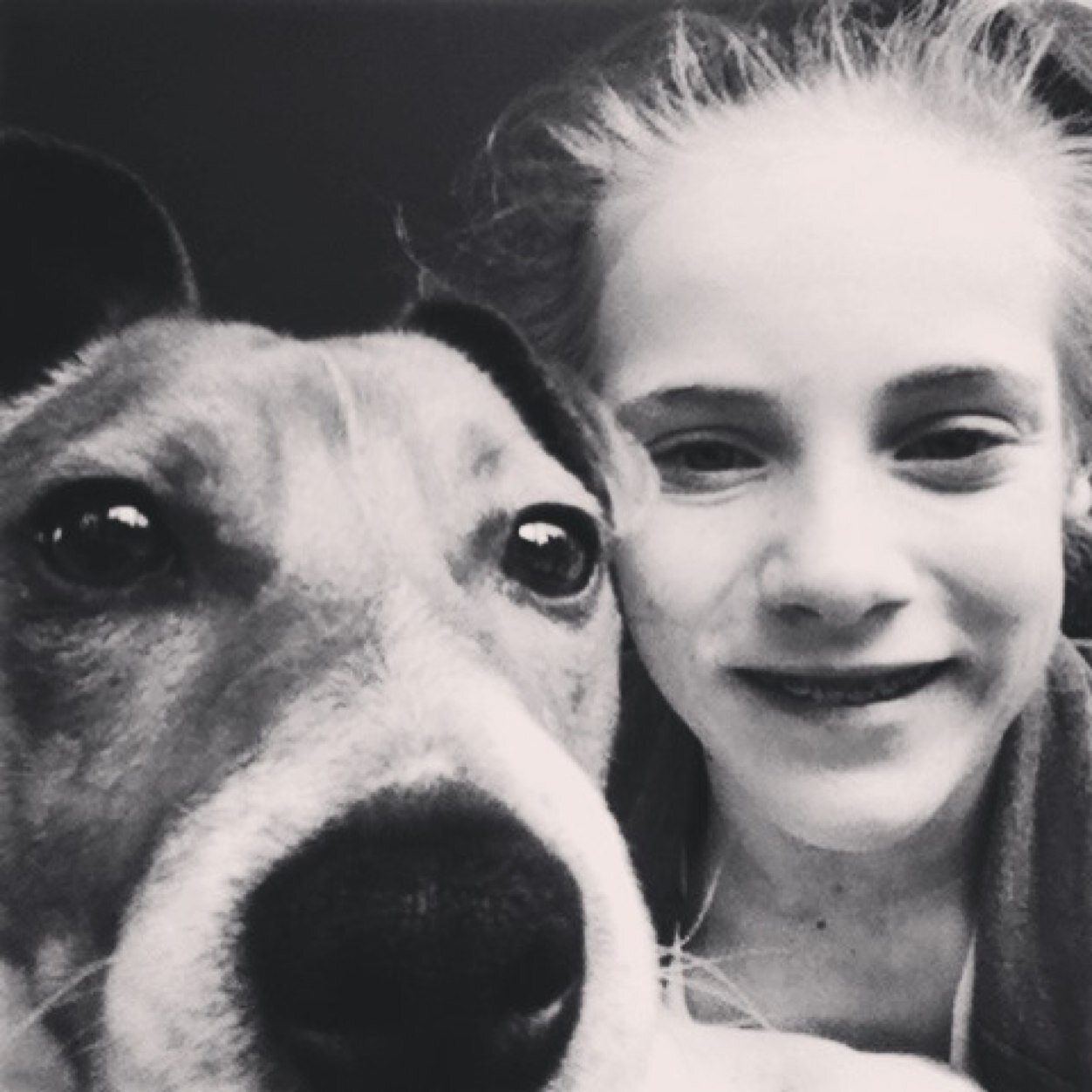 noorgeels's profile picture. Turnster bij BosanTon in Almelo