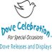 Dove Celebration (@dovecelebration) Twitter profile photo Dove Celebration (@dovecelebration) Twitter profile photo
