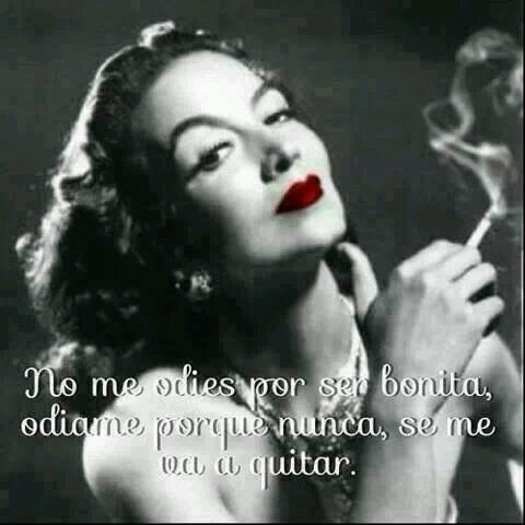 DMonzerat's profile picture. 