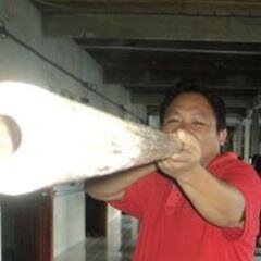 colt_508_MY's profile picture. 