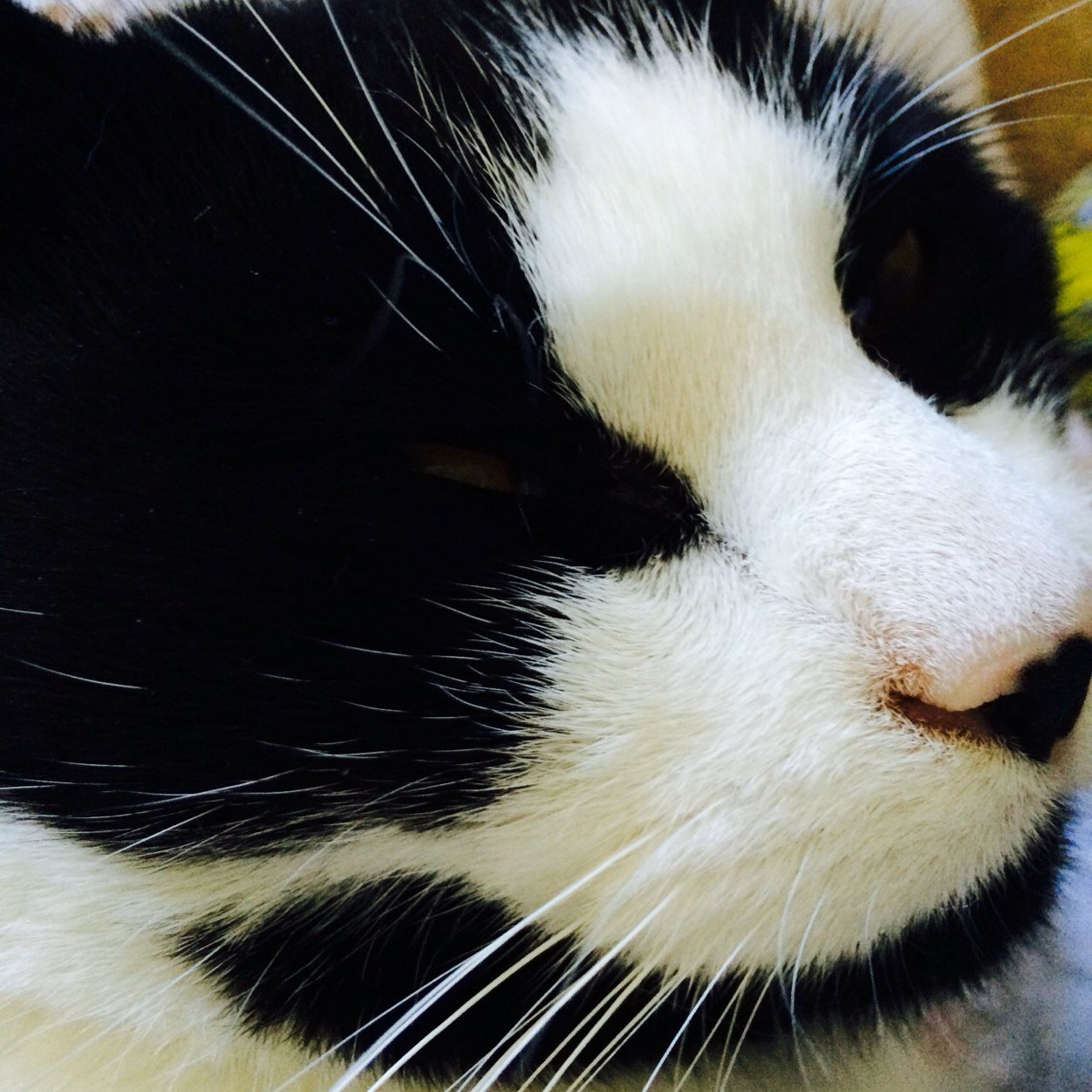 ecaferg's profile picture. 