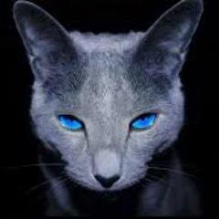 EmlynNinaNesbit's profile picture. Catlover, adventural. I LOVE BANDS. AND MUSIC TOOO.