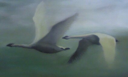 hjdobson68's profile picture. Musician, artist, and jack of all trades