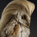 Mark Howle - @markhowle1 - Twitter