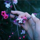 سرونه الجهنيِ (@05Alward) Twitter