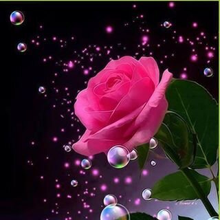 moh115884's profile picture. 