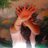 andi_l_jones's profile image