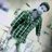 9528821788's profile image
