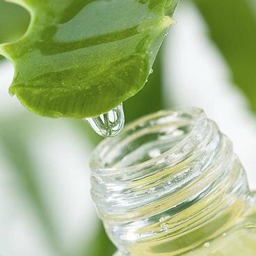 Conseillère en Bien être a la base de aloe vera.