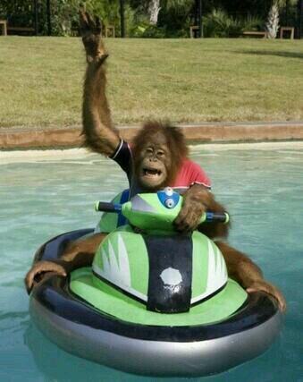 Monday 'ee don't turn up. Tuesday 'ee turn up late. Wednesday 'ee turn up, WE DON'T WORK WEDNESDAYS!