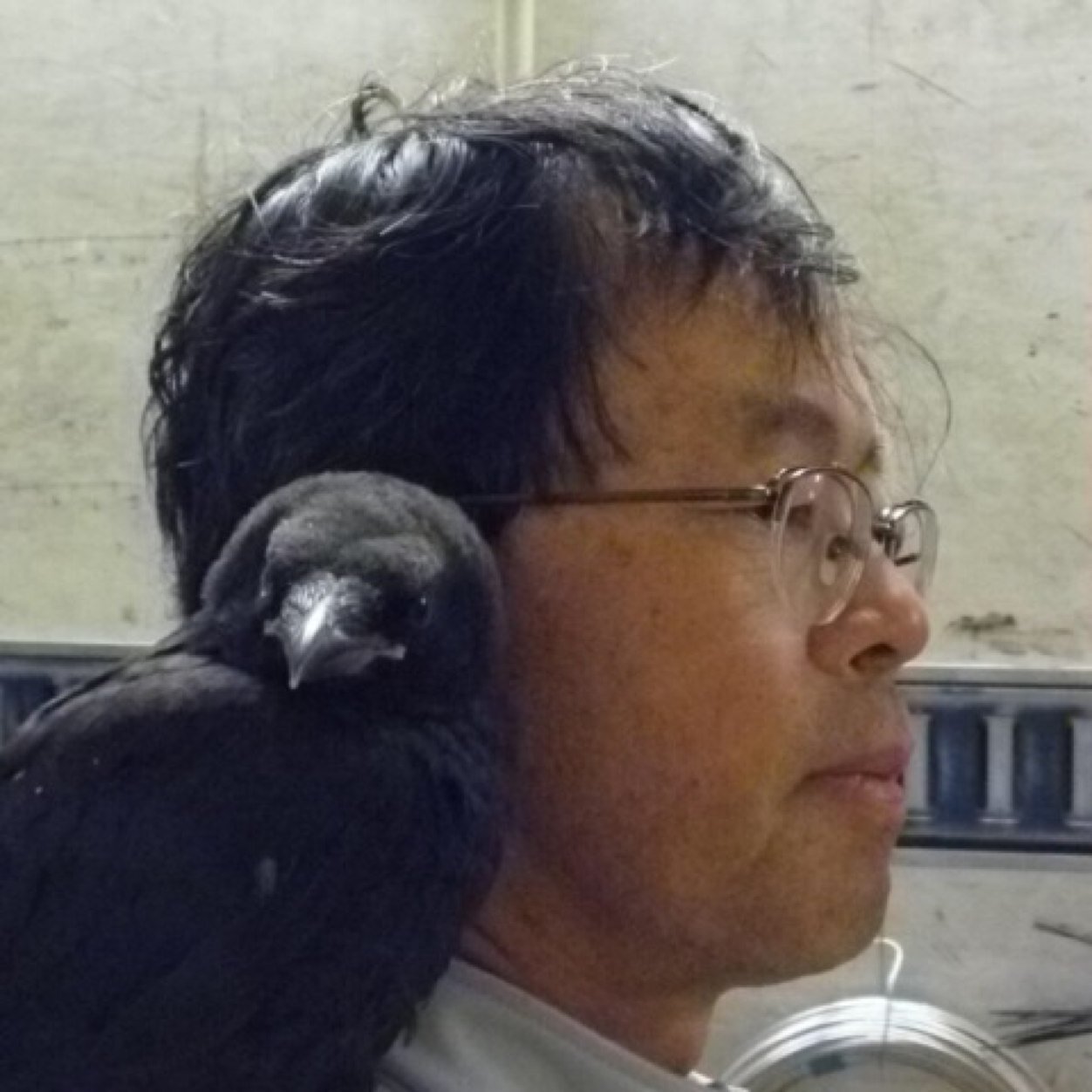 hormun's profile picture. 日本国民