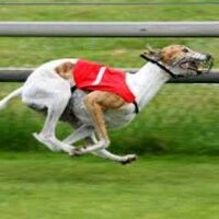 Peter Tustain (@petertustain) 's Twitter Profile Photo Peter Tustain (@petertustain) 's Twitter Profile Photo