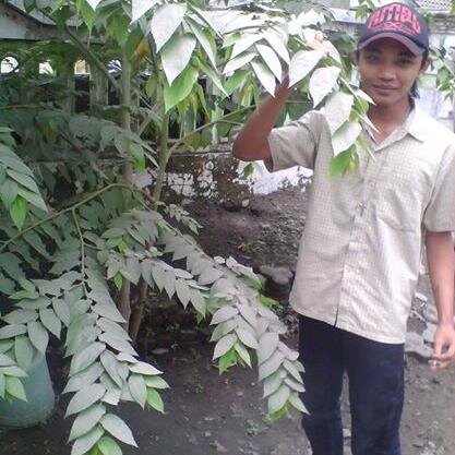 Waktu luang berarti kesempatam untk melakukan sesuatu, namun seringkali berubah arti menjadi kesempatan untk tdk melakukan apa-apa.